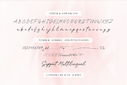 Candara Beauty - A Stylish Font Duo, a Script Font by Ainun Jinan (Thumbnail 11 of 13)