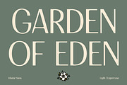 FIBULAR SANS - Variable Display Type, a Sans Serif Font by Artflorara (Thumbnail 8 of 23)