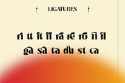 Renalga - Display Sans Serif Font, a Sans Serif Font by Favo Write (Thumbnail 11 of 13)