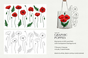 Graphic Poppies. Vector Set.