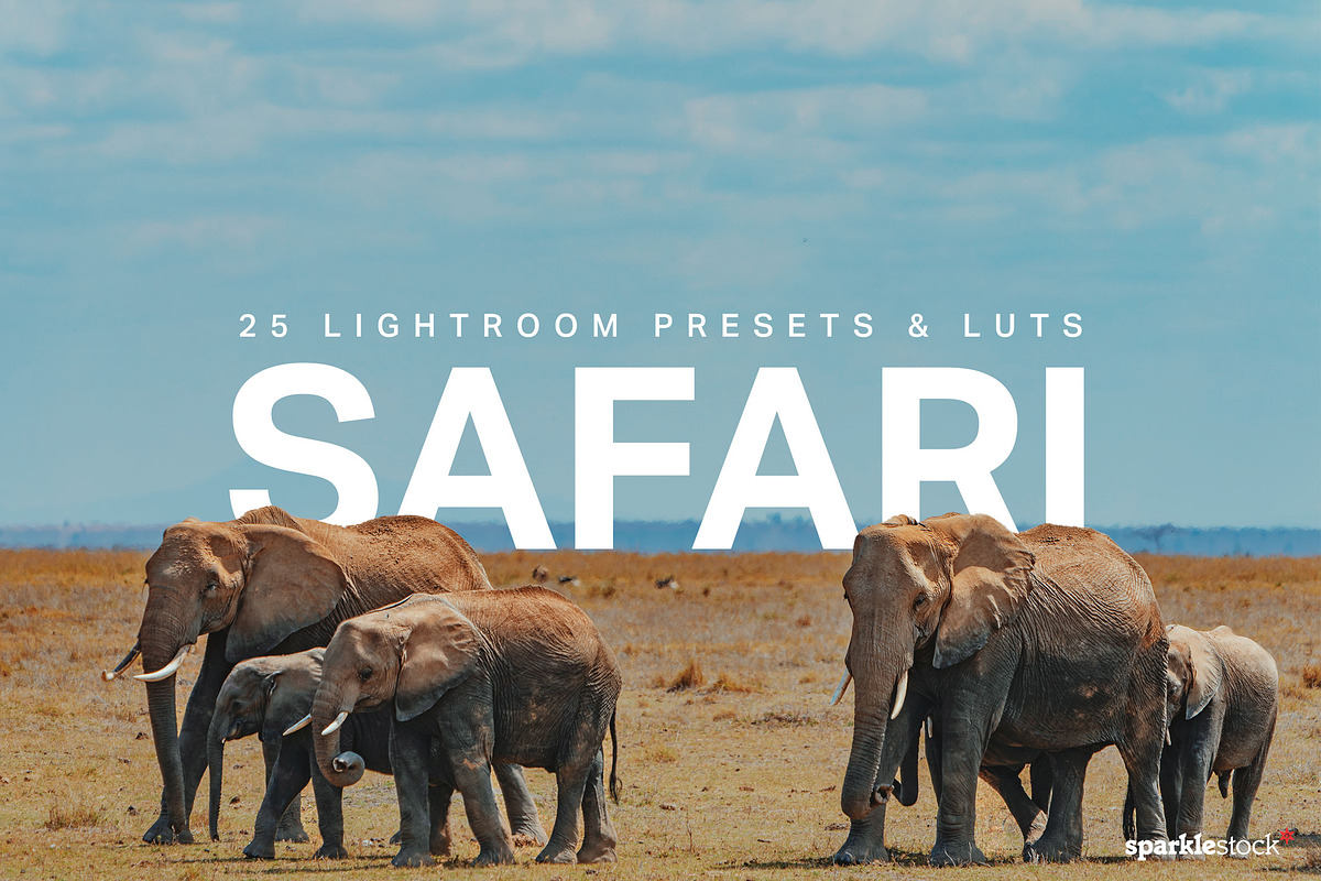 25 Safari Lightroom Presets LUTs, a Preset Add-On by SparkleStock (Photo 1 of 15)