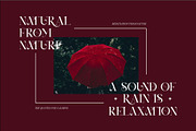 Xerina || Modern Serif Font, a Serif Font by Idea Studio (Thumbnail 5 of 10)