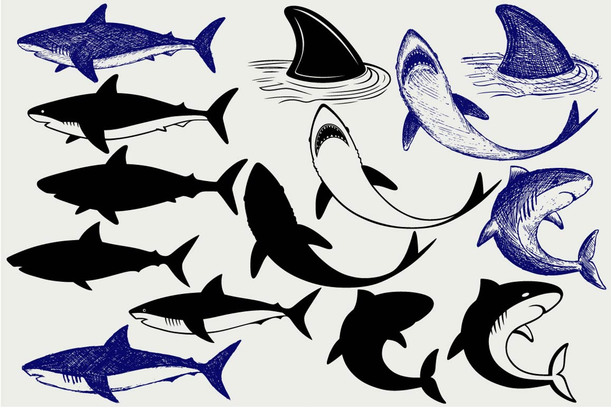 Many reef sharks SVG, an Outline Icon by LineworkStock