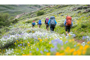 Group of People Hiking Through, a Nature Photo by Lermont51