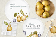 Orchard fruit. Pears and plums, an Illustration by RushkinaAntonina (Thumbnail 2 of 4)