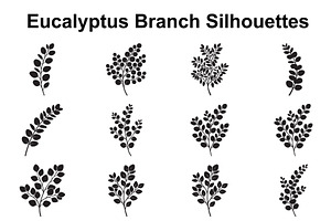 Eucalyptus Leaf Branch Collection