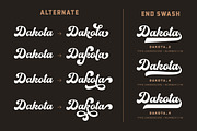 Mexiland - Vintage Font Duo, a Script Font by Grezline Studio (Thumbnail 11 of 12)