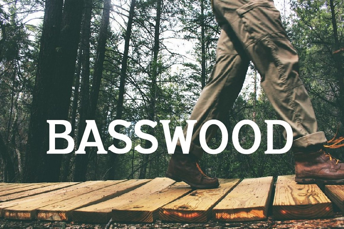 Basswood Serif Font preview 5