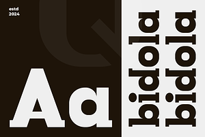 Bidola Slab Serif Font