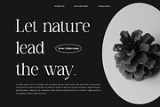 Valloria - Family Serif Font, a Serif Font by Flawless And Co (Thumbnail 4 of 10)
