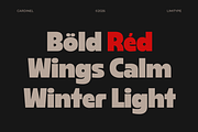 Cardinel - Bold Font, a Sans Serif Font by limitype (Thumbnail 4 of 13)