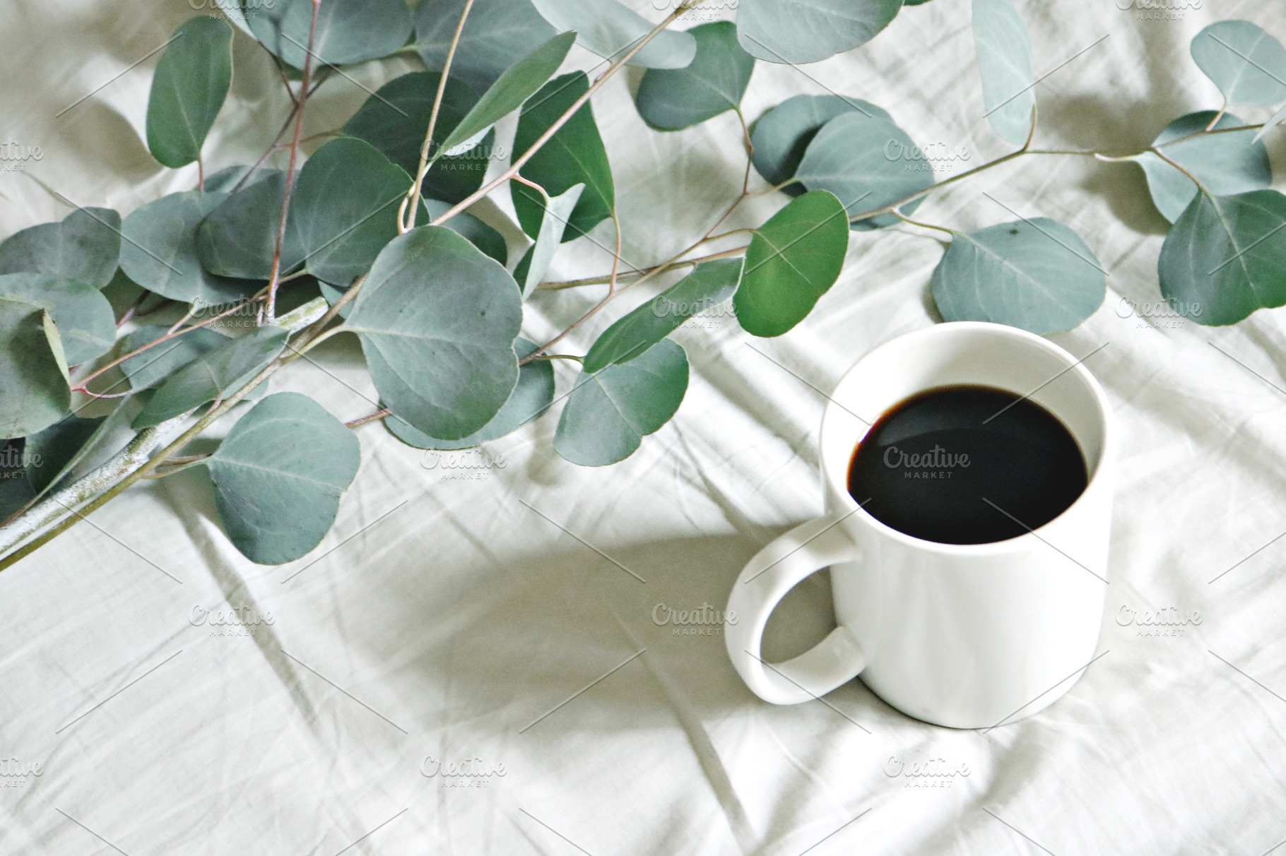 Eucalyptus + Coffee, a Photo by MDSN Design