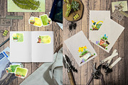 Spring bulbous flowers watercolor, an Object Illustration by DemiLena (Thumbnail 5 of 12)