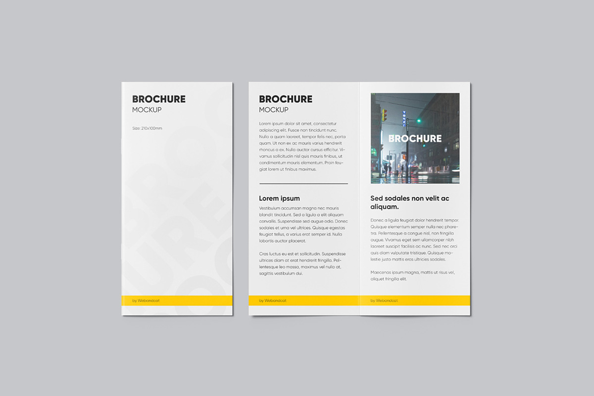 Brochure Mockup, a Books & Magazine Mockup by WebAndCat (Photo 9 of 9)