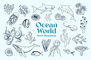 Ocean Marine Animal Illustrations