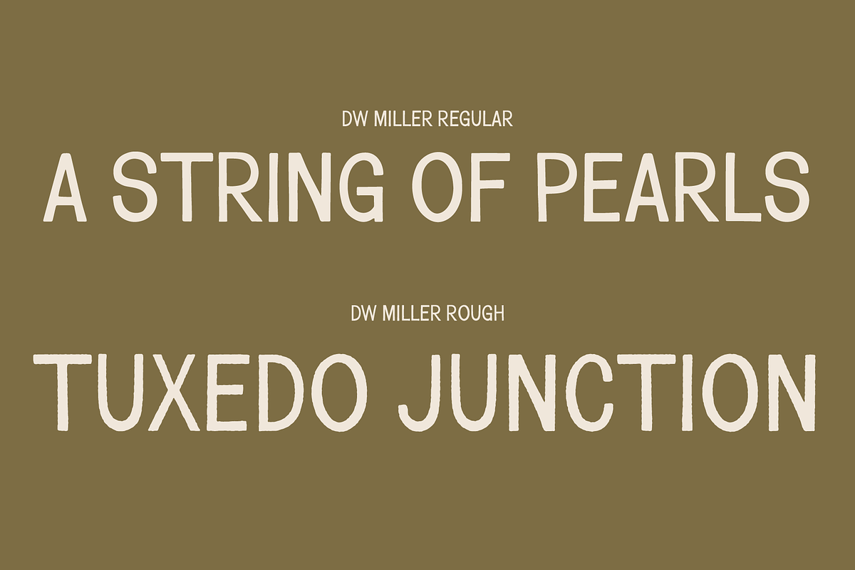 DW Miller Vintage Font Family, a Sans Serif Font by Walker Design Co. (Photo 7 of 10)