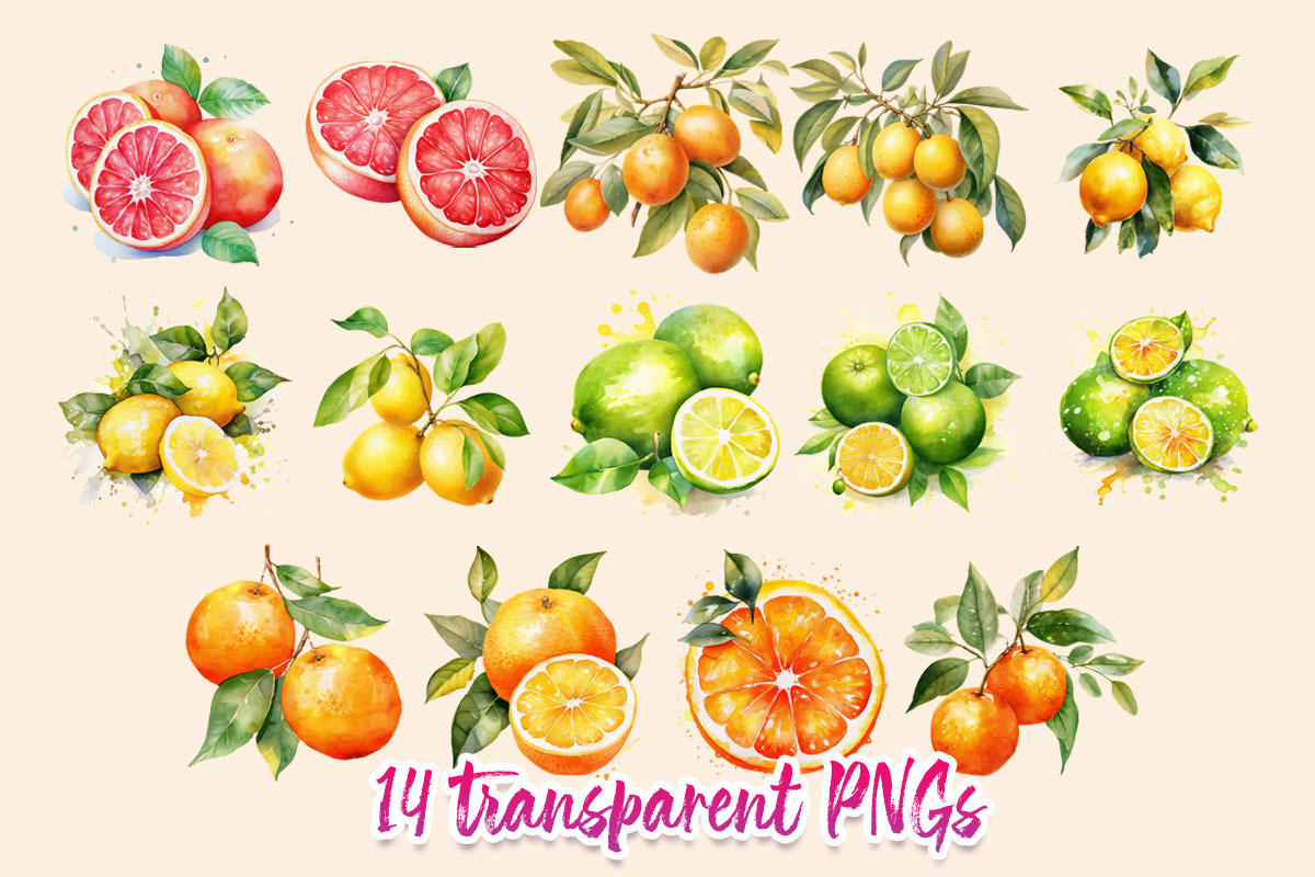 Citrus Watercolor Clipart, a Food Illustration by CrittersHub (Photo 2 of 4)