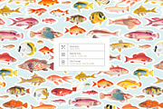 Mulgogi, Luxury Aquatic Designs., a Pattern Graphic by TSTUDIO (Thumbnail 6 of 15)