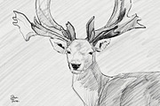 Graphite Pencils for Procreate, a Brush Add-On by Jenteva Art (Thumbnail 7 of 11)