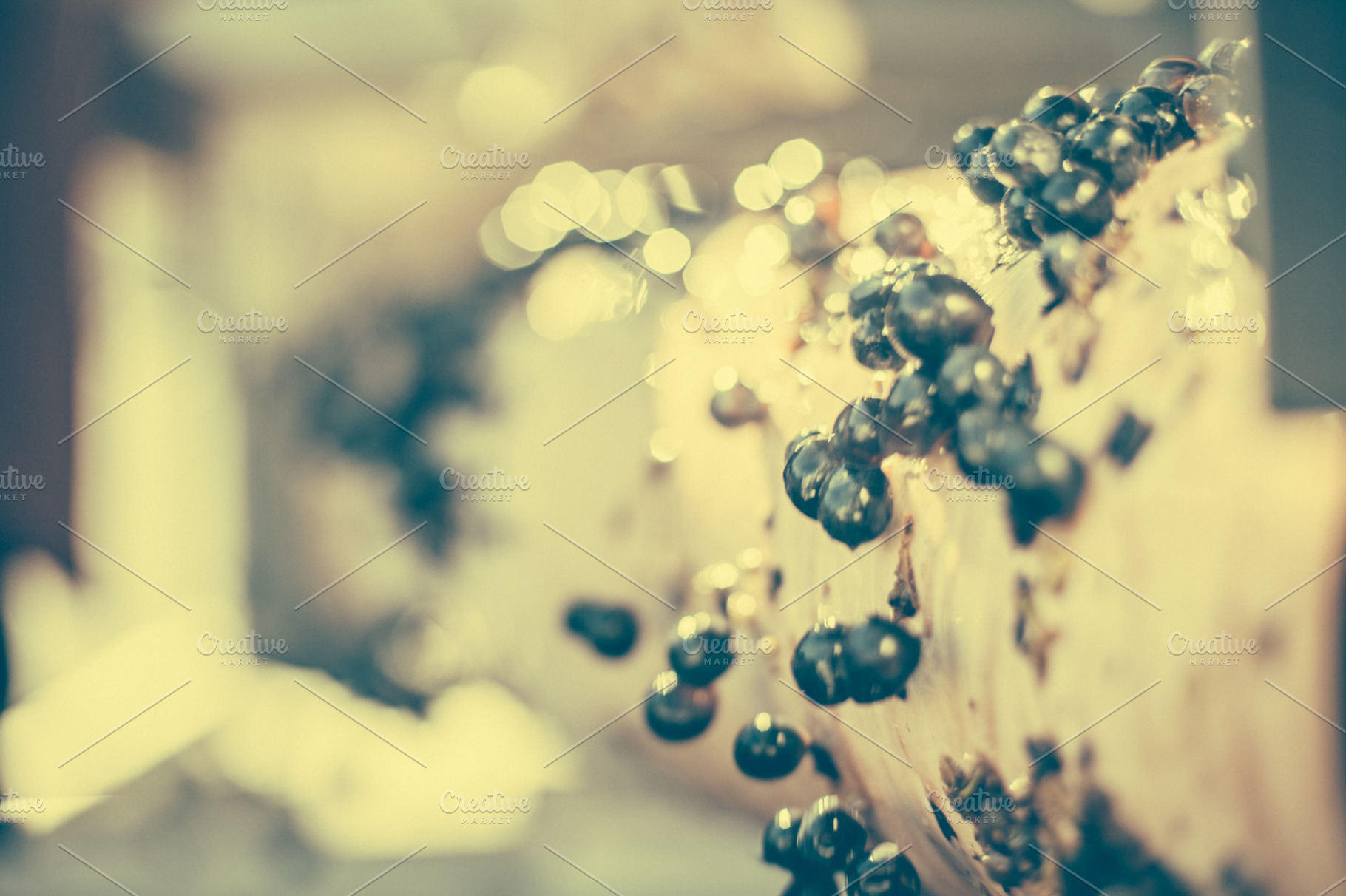 Wine grapes containing california, wine, and vineyard