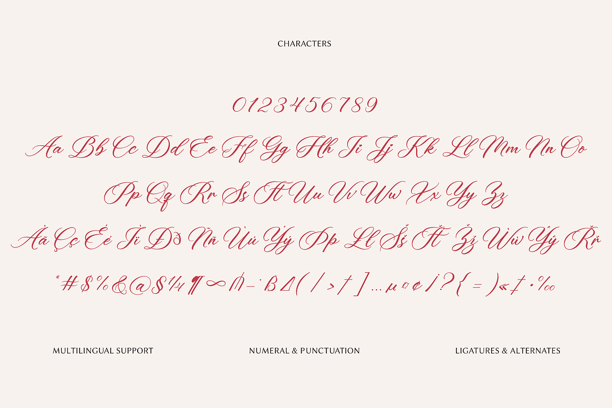Luxury Romantic Elegant Script Font, a Script Font by Namara Creative Studio (Photo 8 of 10)