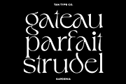 TAN - GARDENIA, a Font by TanType (Thumbnail 8 of 21)