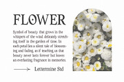 Dastine Oramica - Organic Serif, a Handwritten Font by Lettermine (Thumbnail 4 of 10)