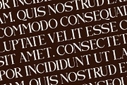 Qelvoria - Modern Serif Font, a Serif Font by Rishsketch (Thumbnail 11 of 15)