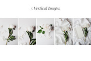 White Peony Bundle + Bonus, an Arts & Entertainment Photo by Light & Grace (Thumbnail 3 of 8)