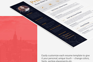 Resume Template Alya