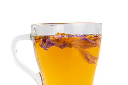 Blue lotos, Nymphaea caerulea hot tea, a Food & Drink Photo by Rimma