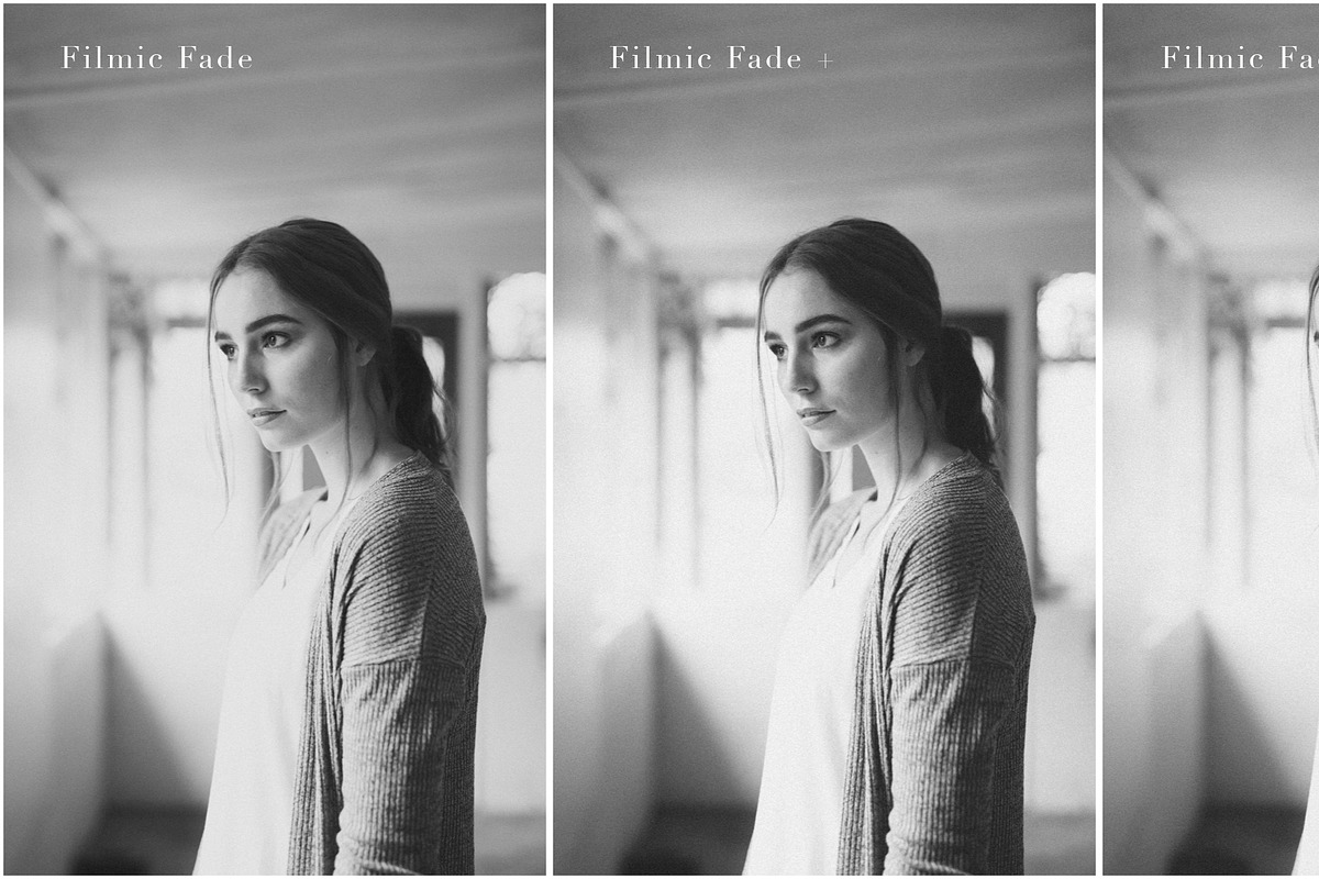 B&W Lightroom Preset Collection preview 2