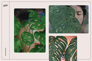 Monstera Tropical Collection