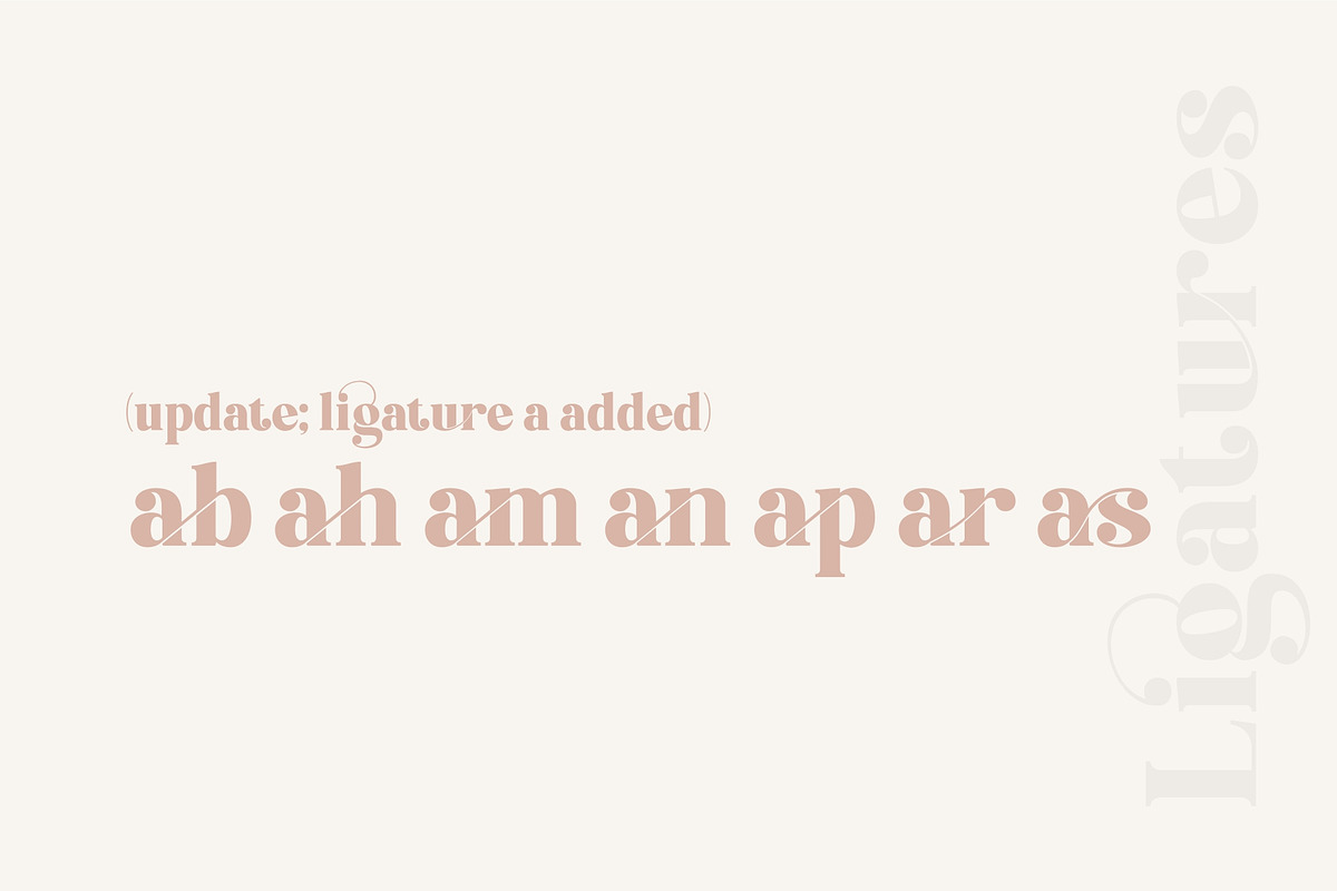 Brand Display Font, a Font by nurrontype (Photo 9 of 18)