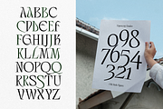 Lamonela - Serif Display Font, a Serif Font by Typetemp Studio (Thumbnail 5 of 21)