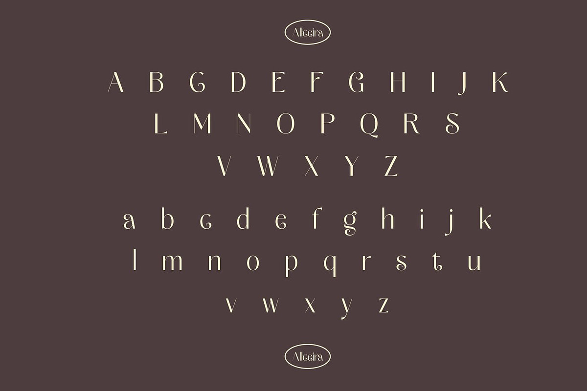 Natasha Elegant Serif, a Serif Font by Luna Shop (Photo 3 of 10)