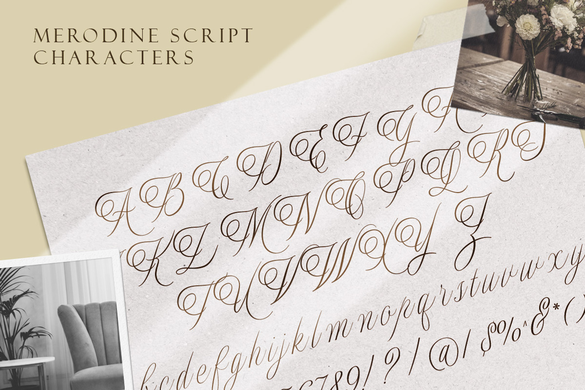Merodine Script -, a Script Font by Letterhend Studio (Photo 8 of 9)