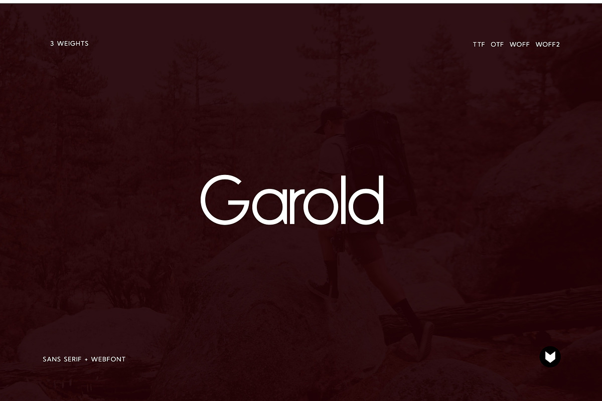 Garold Elegant Typeface, a Font by Foxtype (Photo 1 of 8)