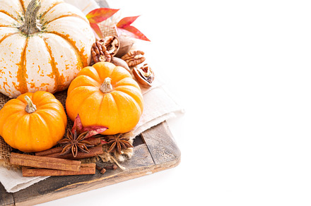 Variety of decorative pumpkins on white background stock photo containing, a Food & Drink Photo by farwasser
