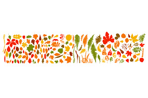 Large set of autumn leaves. hand, an Object Illustration by Nenahliadava Design