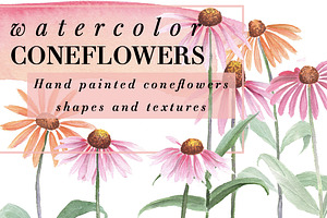 Watercolor Coneflowers Kit