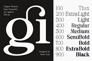 Calgine Serif, a Serif Font by MasaType (Thumbnail 2 of 12)