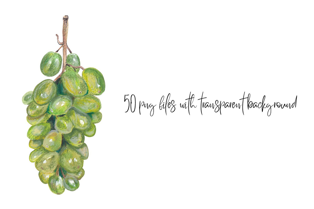 Fruits & Vegetables Hand-drawn set, a Food Illustration by Visual Animal (Photo 2 of 3)