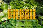 AIDER - Bold Retro Slanted Display, a Slab Serif Font by Hainz Studio (Thumbnail 9 of 10)