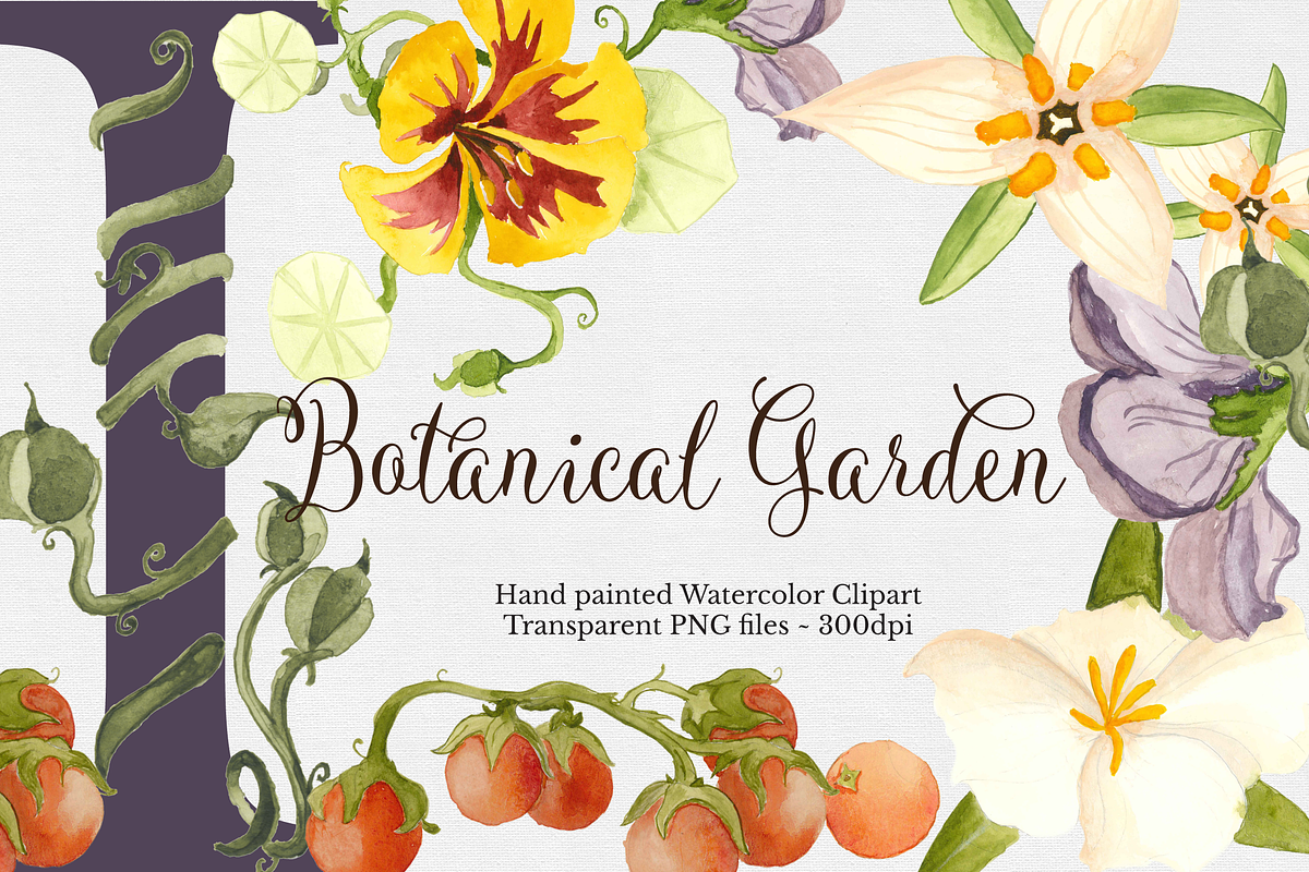 Botanical Watercolor Set, a Graphic by The Autumn Rabbit Ltd (Photo 1 of 2)
