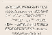Papike Pixel, a Serif Font by Craft Supply Co. (Thumbnail 8 of 8)