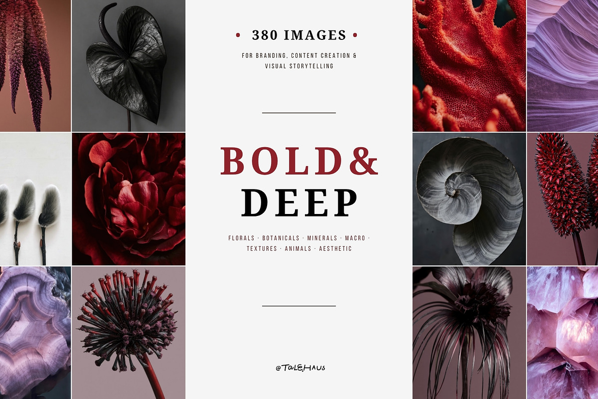 Dark Floral & Mineral Stock Photos, a Nature Photo by Tale.Haus (Photo 1 of 17)
