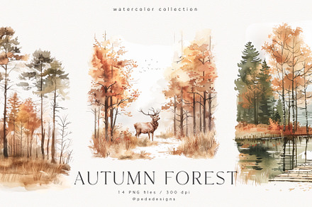 Autumn Forest, a Seasonal Illustration by PeDe Designs