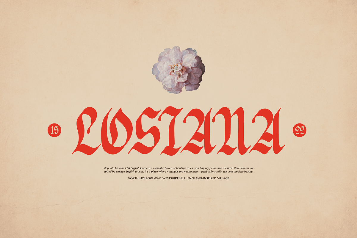 Braffyon | Blackletter Typeface, a Blackletter Font by Denustudios (Photo 6 of 12)