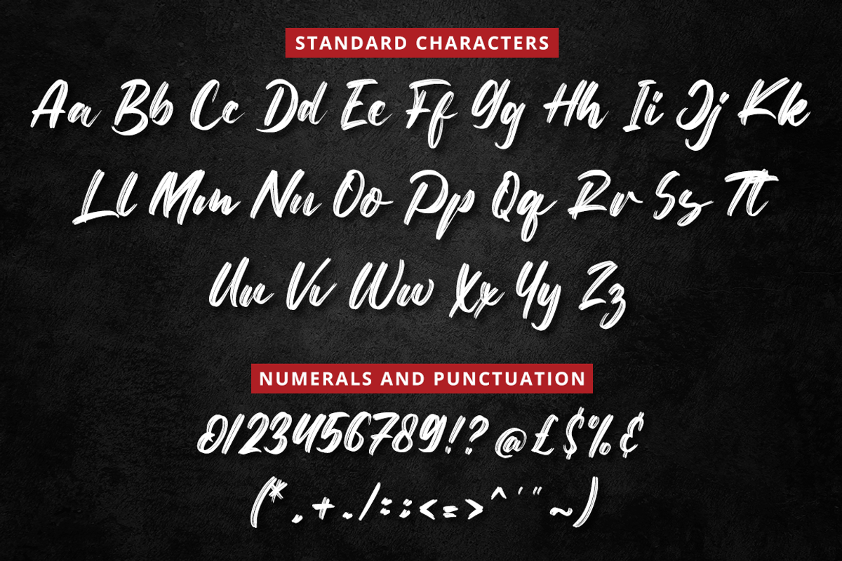 Netto Brushes, a Script Font by Fatmawati (Photo 10 of 12)